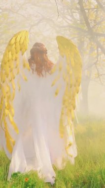Tanımlanamayan insan silueti fantezi kadın melek, orman sisi içinde yürüyen beyaz altın kanatlı sihirli güneş yeşil çimen ağaçları. Uzun elbiseli, kızıl saçlı, arkadan görüşlü. Saint Girl dikey videosu