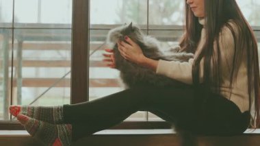 Sevimli, gülen yüzlü, dudakları kesilmiş, pencerenin kenarında oturan, ellerinde pofuduk gri kediyi kucaklayan, neşeli kız duyguları olan, sevgi dolu, hayvan ağızlık kürkü okşayan bir kadın. Rahat oda, günlük kıyafet 4K.