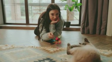 Mutlu kadın sevimli, tüylü, gri, komik kedi evcil hayvan duygularıyla oynar aşk bakımı. Evde gülümseyen yetişkin bir kız rahat rahat giyiniyor. El ele tutuşan oyuncaklar pencere kenarına oturur. Siyam safkan kedisi. 4k