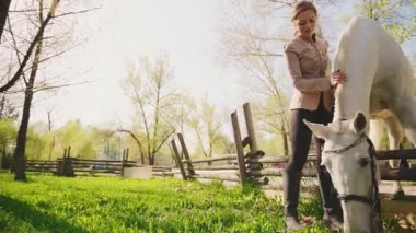 Beyaz atlı mutlu kadın çayır otlaklarında otlayan ağzı olan yeşil otları kemiren doğal yem bitkisi, genç güzel kısrak. Alan Yazı: Çiftlik Çiftliği Yüksek Kaliteli Video 4k