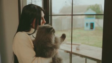 Genç yetişkin bir kadın pencereden dışarı bakıyor. Elinde tüylü gri bir kedi var. Arkaya bakıyor. Gülümseyen güzel kız yeni günün tadını çıkarıyor. Ev konforlu oda