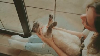 Sevimli bir kadın pencerenin kenarında oturmuş, boğazını okşuyor ve boynunu okşuyor. Yumuşak, gri, gevşek siyam kedisi ellerinde. Kızsal duygular ilgiyi sever, gülen yüzler hayvan ağızlık kürküne sarılır. Samimi oda