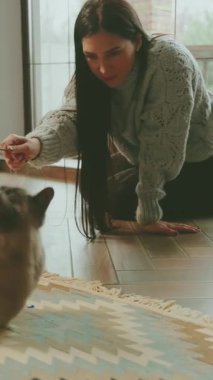 Mutlu kadın sevimli, tüylü, gri, komik kedi evcil hayvan duygularıyla oynar aşk bakımı. Evdeki rahat odada gülümseyen yetişkin kız. El ele tutuşan oyuncaklar pencere kenarına oturur. Siyam safkan kedisi. dikey video