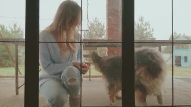 Genç ve mutlu bir kadın köpeğiyle oynuyordu. Safkan çoban köpeğiyle oynuyordu. Siyah tüylü kürk, güzel kız ağızlık takıyordu. Evcil hayvan sevgisi. Sevimli yüz 4k.