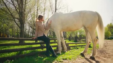 Güzel, sarışın, mutlu, genç bir kadın ahşap çitlerde oturuyor, elini okşuyor, at otlatıyor, yeşil çimen tarlaları yiyor, yaz güneşi ağacı. Beyaz at konsepti olan yetişkin kız jokeyi hayvan bakımı 4k