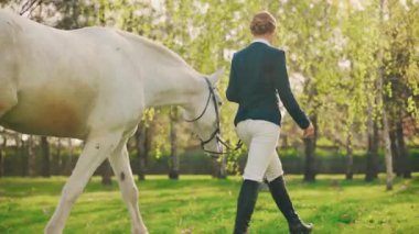 Güzel, mutlu bir kadın at dikiz aynasıyla yürüyor. Parlak güneş ışığı yeşil çim orman parkı ağaç yapraklarını aydınlatıyor. Jokey giysili kız prenses eski usul el ele tutuşur beyaz at aşk bakımı evcil hayvanı
