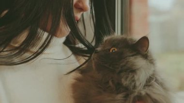 Sevimli bir kadın pencereden dışarı bakıyor, elinde tüylü gri bir kedi var, yüzü kırpılmış, yakın plan, kız aşk bakımının keyfini çıkarıyor, sevimli sevimli hayvan ağızlık kürkü. Özel ev rahat oda günlük kıyafet 4K