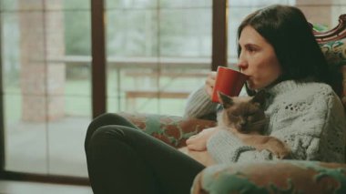 Elinde bir fincan sıcak doğal çay, elinde kahve olan mutlu genç bir kadın içkinin tadını çıkarıyor. Güzel, gülümseyen yüzlü kız rahat bir odada pencerenin yanında oturuyor, rahat giyiniyor, Siyam kedilerine sarılıyor..