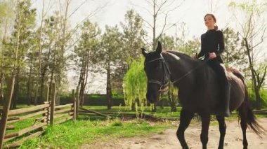 Güzel, mutlu bir kadın kırsal yolda ata biniyor, genç insan yürümekten hoşlanıyor. Güneş ışığı yeşil çimen parkı ağaç parlak gökyüzü. Kız jokey eli evcil hayvanı tutuyor. siyah spor elbise 4k