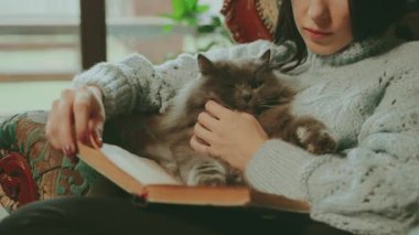 Kedi kitabı okuyan genç bir kadın, pencerenin kenarında, koltuk kenarında oturuyor, dudakları kesilmiş. Rahat ev, klasik iç mekan, yetişkin kız hobi, dinlenme, rahatlama, el, pofuduk gri kedi okşamaları.
