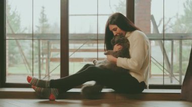 Sevimli bir kadın pencereden dışarı bakıyor. Elinde tüylü gri bir kedi tutuyor. Neşeli kız duyguları var. Konforlu ev kıyafetleri. 4k