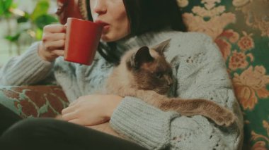 Kırpılmış yüzlü mutlu kadın sandalyeye oturmuş elinde bir fincan sıcak çay, elinde kahve, içki kokusundan zevk alıyor. Güzel, gülümseyen dudaklı kız ve evcil Siyam kedisi..