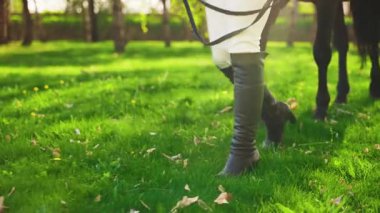Atı olan tanınmaz bir insan silueti. Yakın plan kadın bacakları taze yeşil çimenlerde yürüyor ve siyah at hayvanı dizginlerini tutuyor. Yaz doğa ormanı güneş ışığı parlıyor. Jokey kız ahırda.
