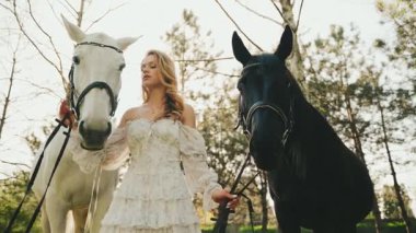 Genç güzel yüzlü seksi kadın sarışın manken iki atla poz veriyor kısrak. Beyaz renkli ipek elbiseli mutlu bir kız. Yaz ağaçları, orman gökyüzü, güneş ışığı parlıyor. Siyah at 4k