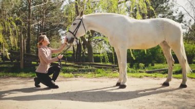 Güzel, sarışın, atıyla mutlu bir kadın. Yaz doğası güneşi yeşil çimen günü. Seksi bayan gülümseyen el dokunuşu beyaz at kafası ağızlık, konsept sevgi hayvan bakımı. Kız jokey kıyafetleri