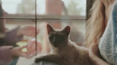 Tıbbi maskeli genç bir kadın hasta yetişkin kız arkadaşını ziyaret ediyor. Kendini karantinada tutuyor. Camdan güvenli bir şekilde iletişim kuruyor.