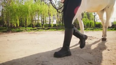 Kapalı vücut parçaları bacaklar siyah yüksek deri botlar, yolda yürüyen at toynaklı ayaklar. Güneş ışığı yeşil çimen ağacı. Yetişkin kız fantezi tarzı el, beyaz at hayvanının 4k dizginlerini tutuyor..