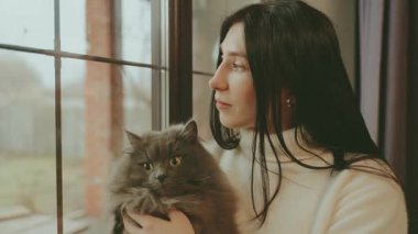 Sevimli bir kadın pencereden dışarı bakıyor. Elinde tüylü gri bir kedi tutuyor. Neşeli kız duyguları var. Konforlu ev kıyafetleri. 4k