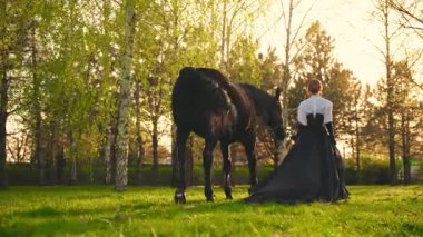 Seksi kadın manken kız at eliyle yürüyor evcil hayvanın arkasını tutuyor. Peri Kraliçesi 'nin uzun siyah elbisesi eski moda sineklerin yavaş çekimde uçması. Günbatımı ormanı yeşil çimen ağaçları güneş ışığı 4k.
