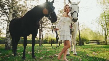 Rüya perisi güzel kadın yüzü seksi kadın sarı saçlı muhteşem model iki atla poz veriyor. Mutlu kız kameraya bakıyor. Ağaçlar gökyüzünü aydınlatır. Güneş parlar. Siyah at yüksek kaliteli video 4K.