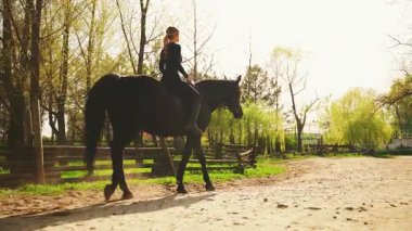 Güzel, mutlu bir kadın kırsal yolda at sırtında dikiz aynasıyla dolaşır, tanınmayan kişi yürümekten hoşlanır. Güneş ışığı yeşil çimen parkı ağacı. Kız jokey eli evcil hayvanı tutuyor. siyah giysi.