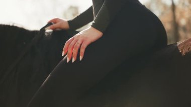 Güzel, mutlu, seksi bir kadın at sırtında dikiz aynasına biniyor, tanınmayan bir vücut parçası kesilmiş, yürümekten zevk alıyor. Güneş ışığı parkı ağacı. Kız jokey elinin dizginleri siyah kürklü hayvan video 4k 'de..