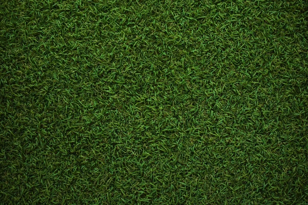 Green Grass Texture Background Top View Grass Garden Idea Concept — Stock Photo, Image