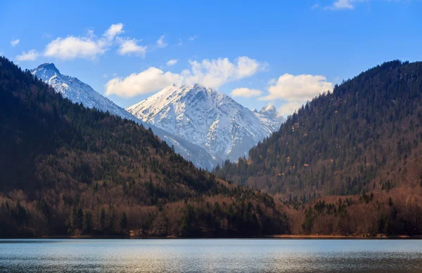 Blauer Alpsee im grünen Wald — Stockfoto