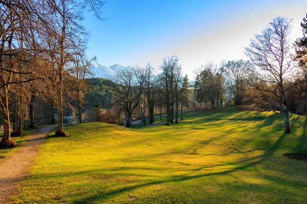 Zonsondergang in park met bomen — Stockfoto