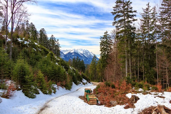 Paesaggio nelle Alpi con fresche montagne verdi — Foto Stock
