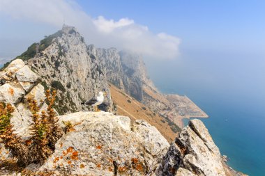 Cebelitarık Rock görünümü 