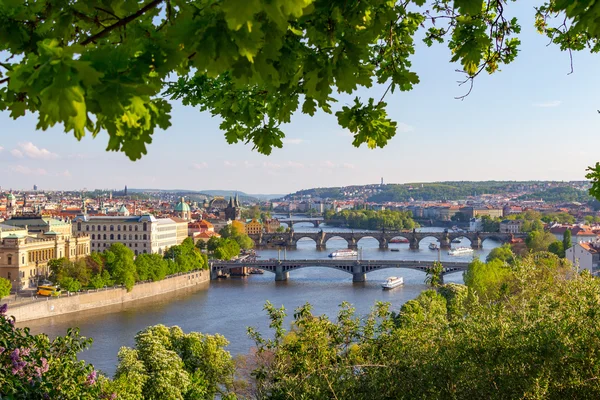 Scenic view of bridges on the Vltava river — Stock Photo, Image