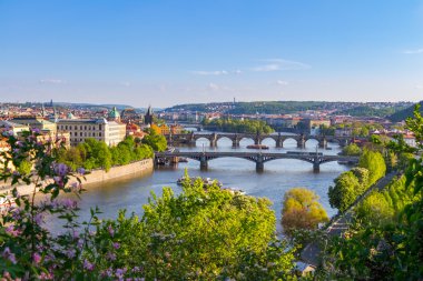 Köprü Vltava Nehri üzerinde doğal görünümü 