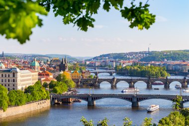 Köprü Vltava Nehri üzerinde doğal görünümü 