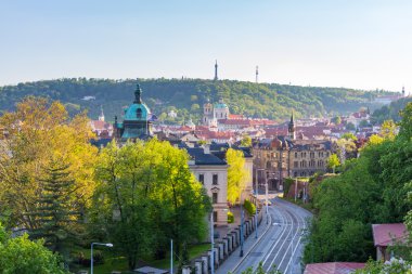 Tarihi kent manzaralı yaz havadan görünümü.
