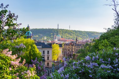 Old Town manzaralı yaz hava Panoraması 