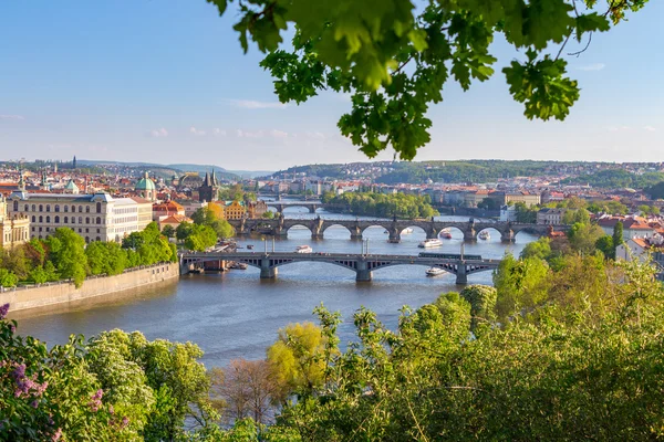 Vista panorámica de los puentes sobre el río Moldava —  Fotos de Stock