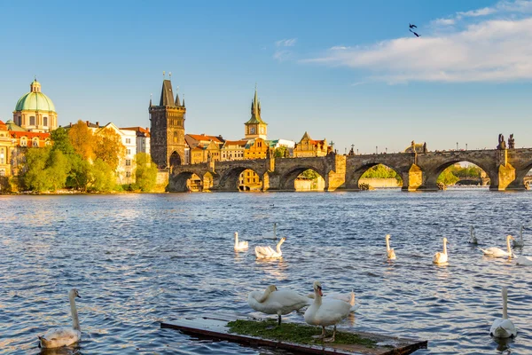 Blick auf die Moldau — Stockfoto