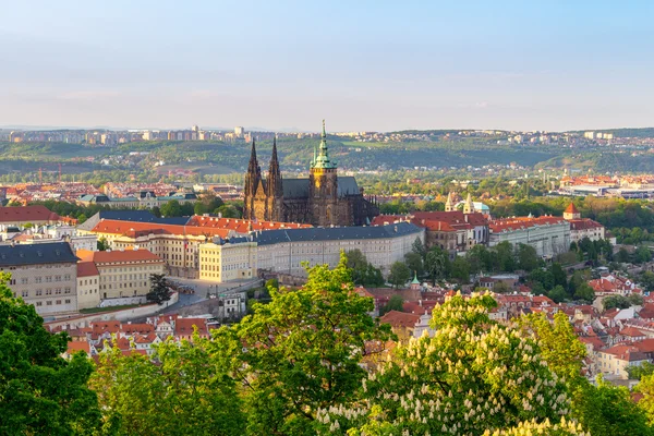 Uitzicht op de Praagse burcht met de Sint-Vituskathedraal — Stockfoto