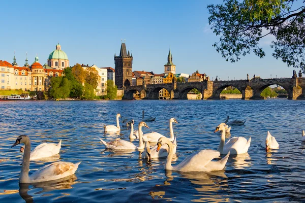 Pohled na řeku Vltavu — Stock fotografie