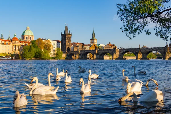 Vista del río Moldava — Foto de Stock