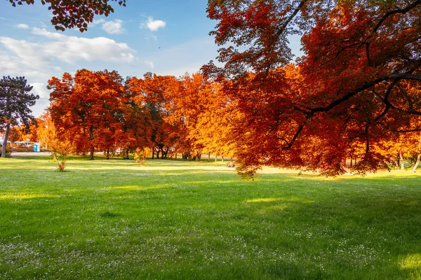 Colorful foliage in the autumn park — Stock Photo, Image