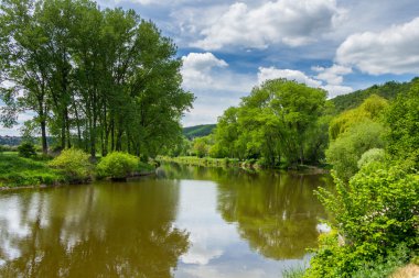 Yeşil çimenli yaz manzarası