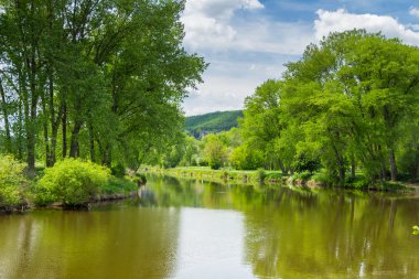 Yeşil çimenli yaz manzarası