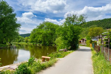 Yeşil çimenli yaz manzarası