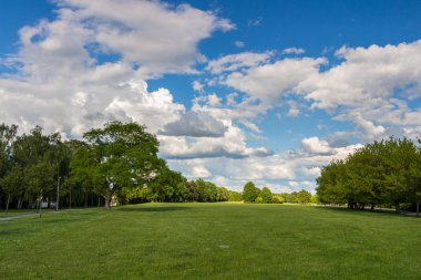Yeşil çayır ve orman Park