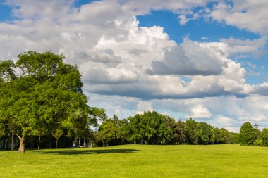 Yeşil çayır ve orman Park