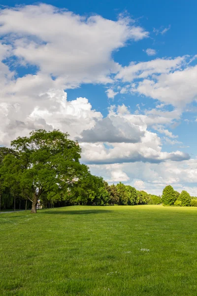 Parque con prado verde y bosque — Foto de Stock