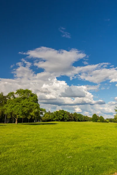 Parque com prado verde e floresta — Fotografia de Stock