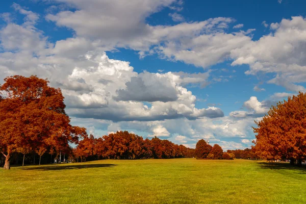 Colorido follaje en el parque de otoño —  Fotos de Stock